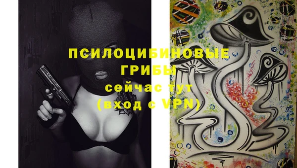 каннабис Новокубанск
