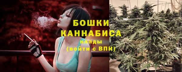 сатива Нязепетровск