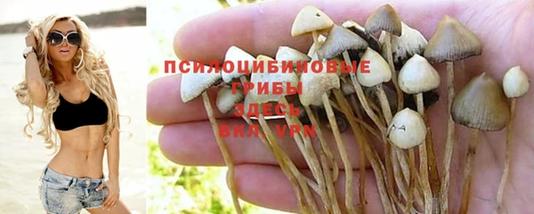 каннабис Новокубанск