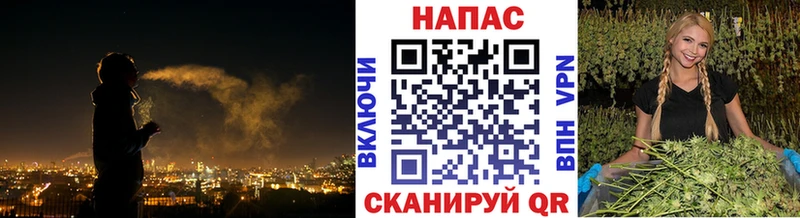 МАРИХУАНА семена  Шагонар 